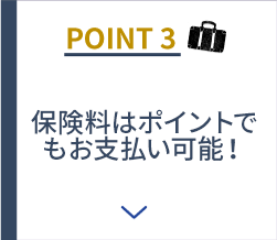 POINT3 保険料はポイントでもお支払い可能！